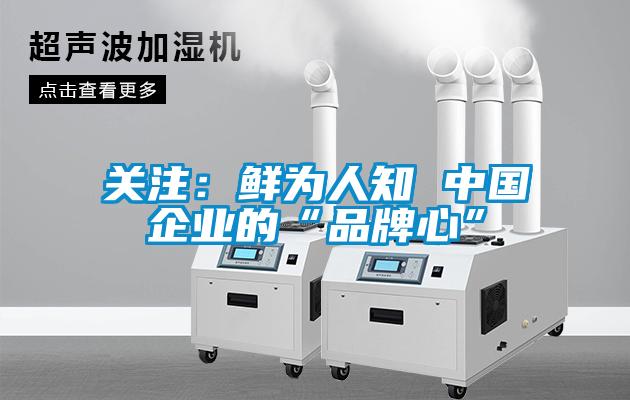 關注：鮮為人知 中國企業的“品牌心”