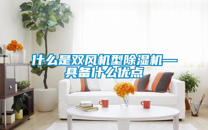 什么是雙風機型除濕機—具備什么優點