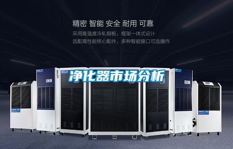 凈化器市場分析