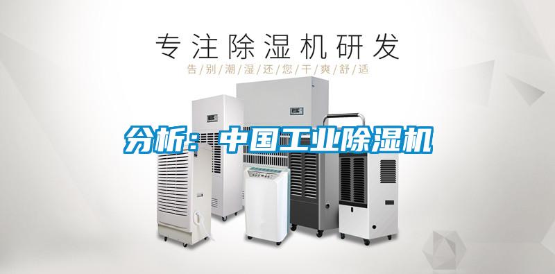 分析：中國工業除濕機