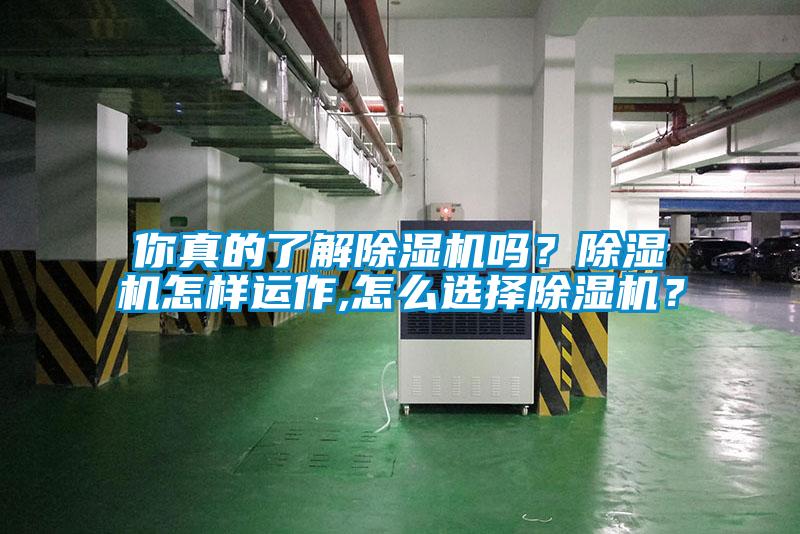 你真的了解除濕機嗎？除濕機怎樣運作,怎么選擇除濕機？
