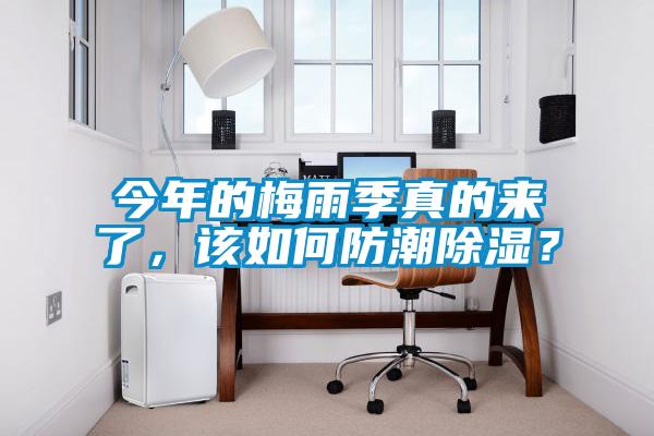 今年的梅雨季真的來了，該如何防潮除濕？