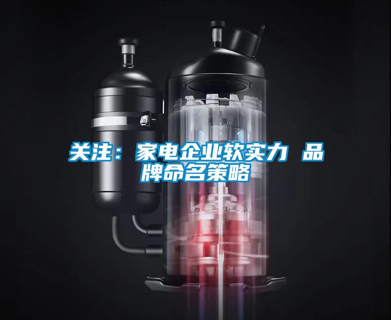 關注：家電企業(yè)軟實力 品牌命名策略