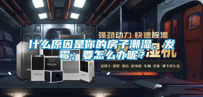 什么原因是你的房子潮濕、發(fā)霉；要怎么辦呢？