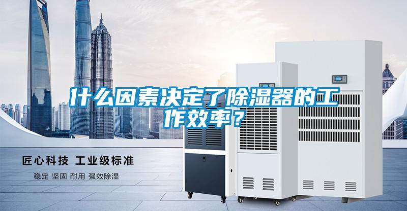 什么因素決定了除濕器的工作效率？