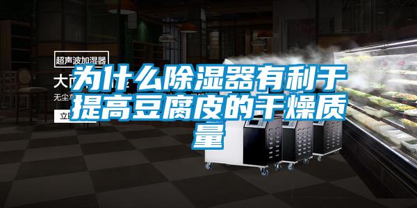 為什么除濕器有利于提高豆腐皮的干燥質量