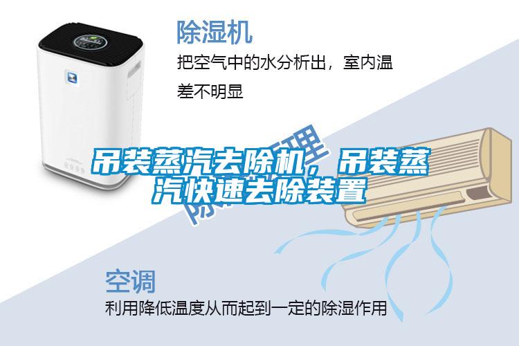 吊裝蒸汽去除機，吊裝蒸汽快速去除裝置