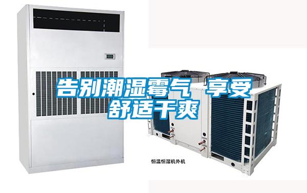 告別潮濕霉氣 享受舒適干爽