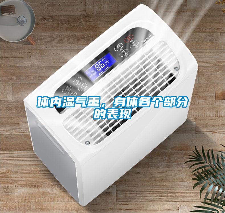 體內濕氣重，身體各個部分的表現