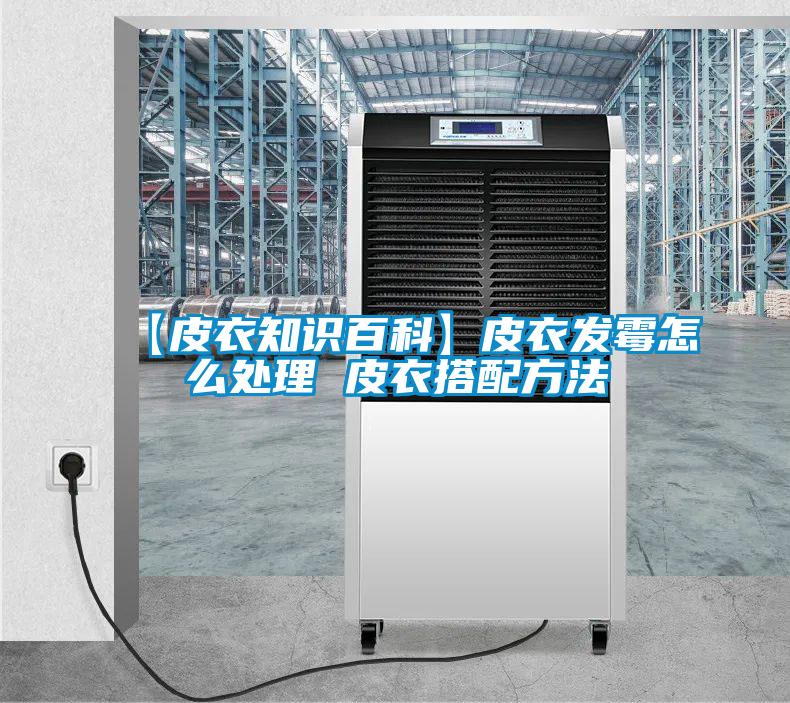 【皮衣知識百科】皮衣發霉怎么處理 皮衣搭配方法