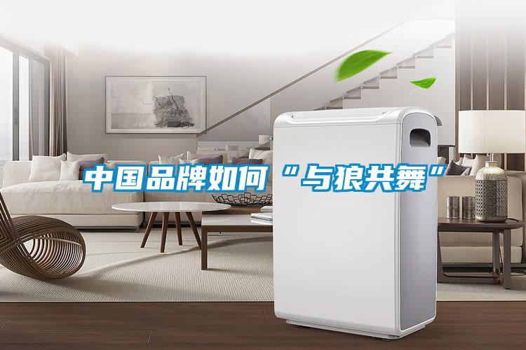 中國品牌如何“與狼共舞”