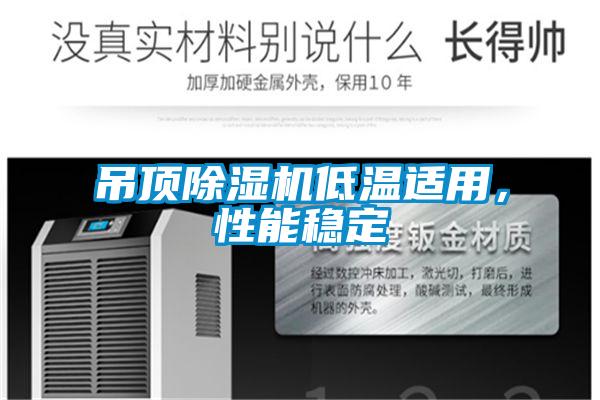 吊頂除濕機低溫適用，性能穩定