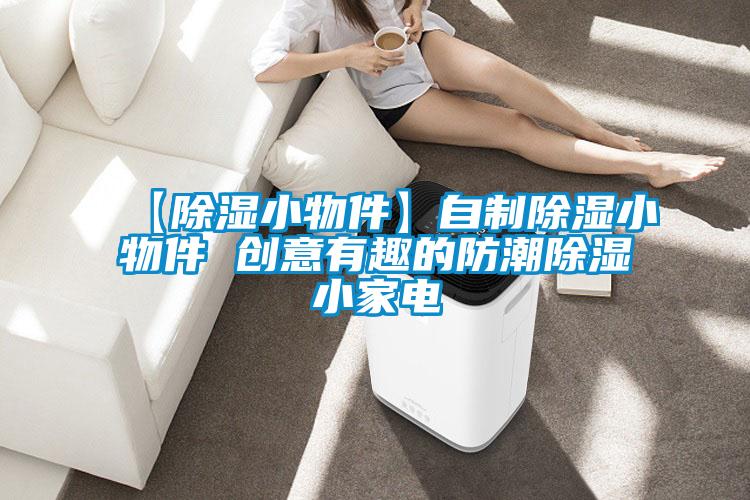 【除濕小物件】自制除濕小物件 創(chuàng)意有趣的防潮除濕小家電