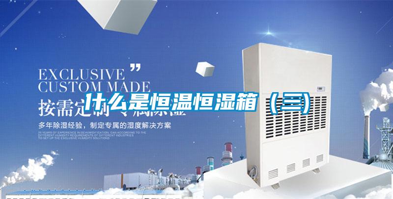 什么是恒溫恒濕箱（三)