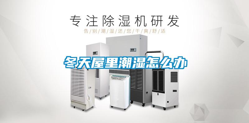 冬天屋里潮濕怎么辦