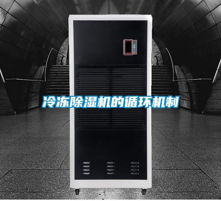 冷凍除濕機(jī)的循環(huán)機(jī)制