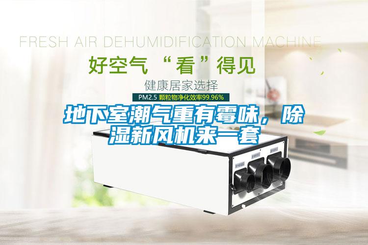 地下室潮氣重有霉味，除濕新風機來一套
