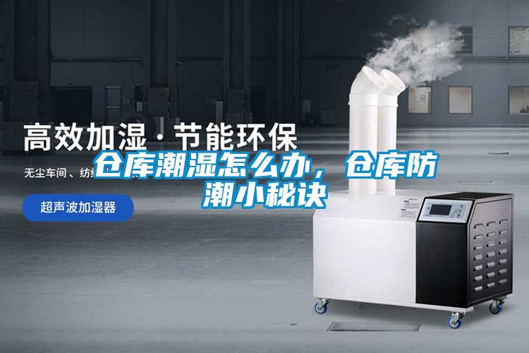 倉庫潮濕怎么辦，倉庫防潮小秘訣