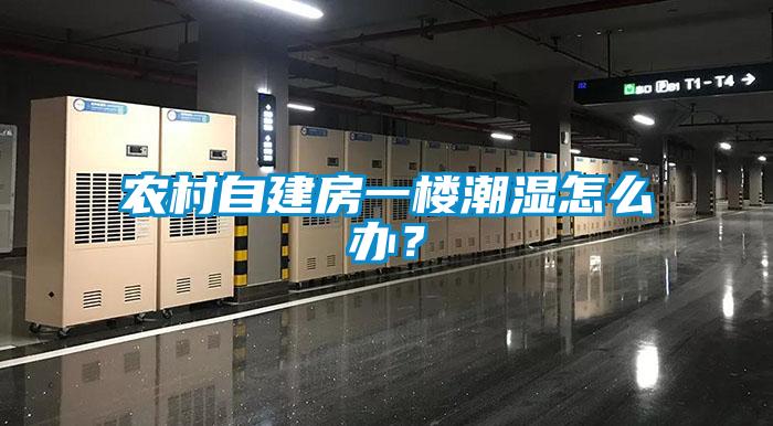 農村自建房一樓潮濕怎么辦？