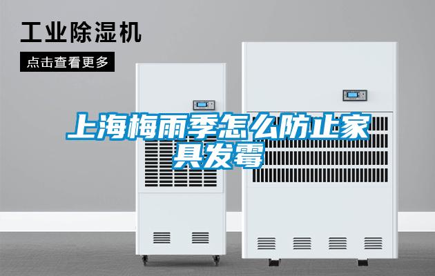 上海梅雨季怎么防止家具發(fā)霉