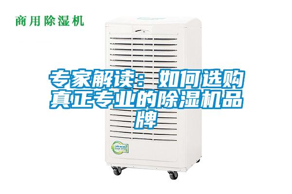 專家解讀：如何選購真正專業(yè)的除濕機(jī)品牌
