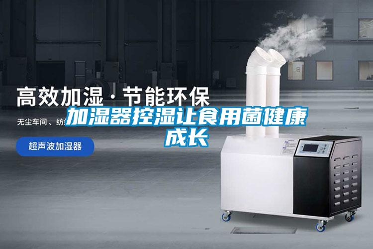 加濕器控濕讓食用菌健康成長