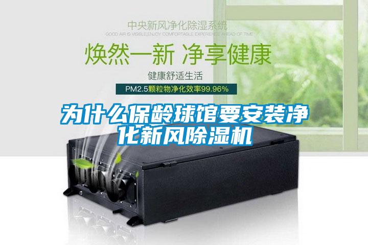 為什么保齡球館要安裝凈化新風除濕機
