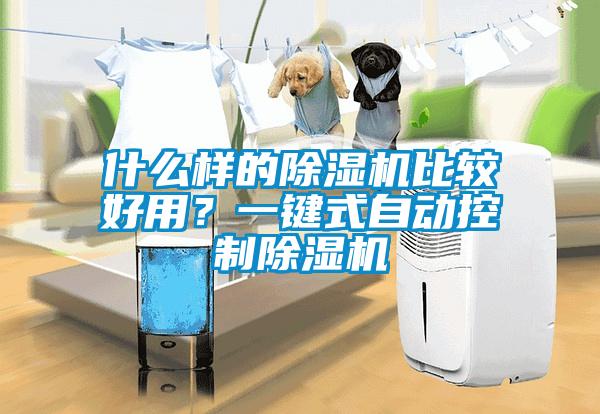 什么樣的除濕機比較好用？一鍵式自動控制除濕機