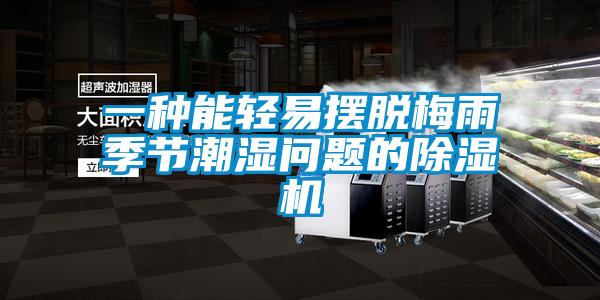 一種能輕易擺脫梅雨季節潮濕問題的除濕機