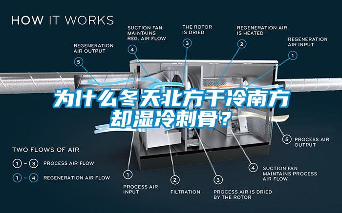為什么冬天北方干冷南方卻濕冷刺骨？