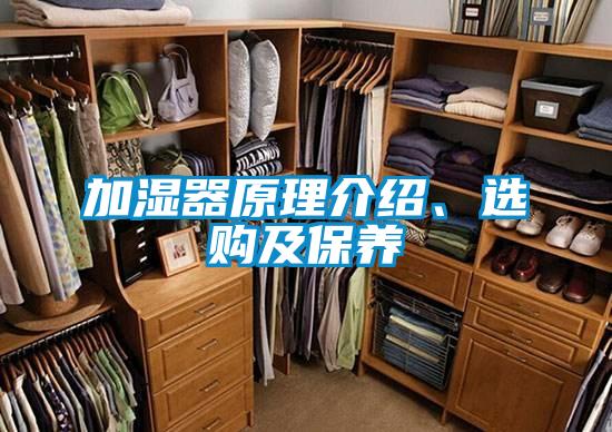 加濕器原理介紹、選購及保養