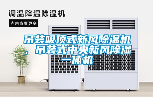 吊裝吸頂式新風除濕機，吊裝式中央新風除濕一體機