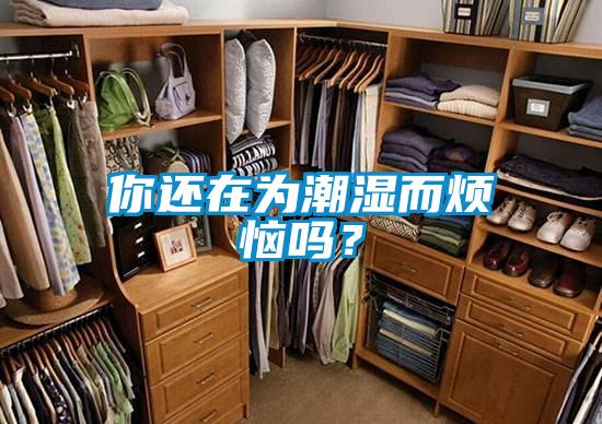 你還在為潮濕而煩惱嗎？