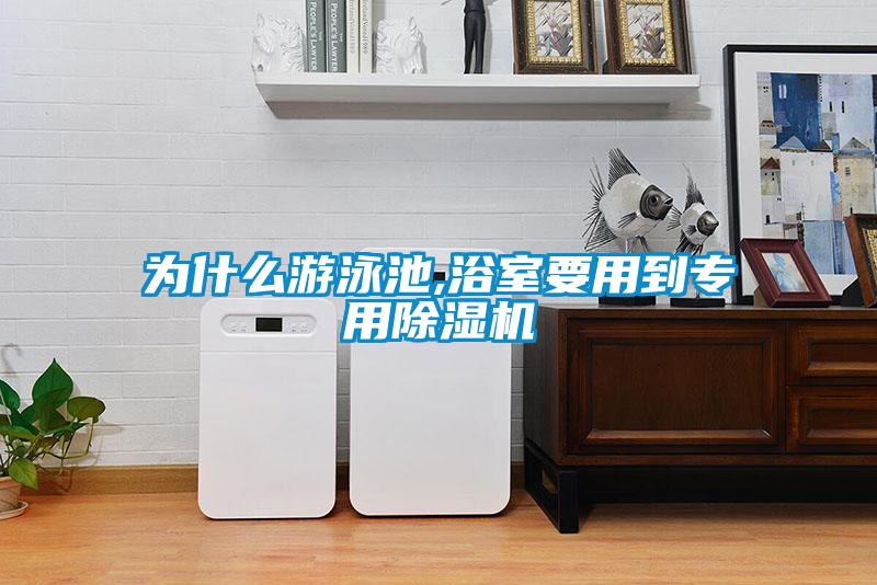 為什么游泳池,浴室要用到專用除濕機(jī)