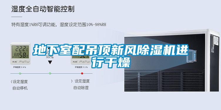 地下室配吊頂新風除濕機進行干燥