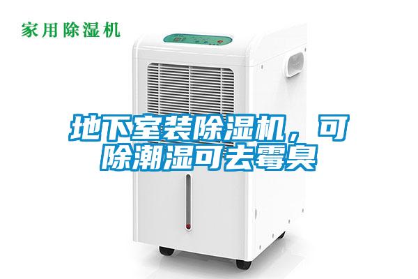 地下室裝除濕機，可除潮濕可去霉臭