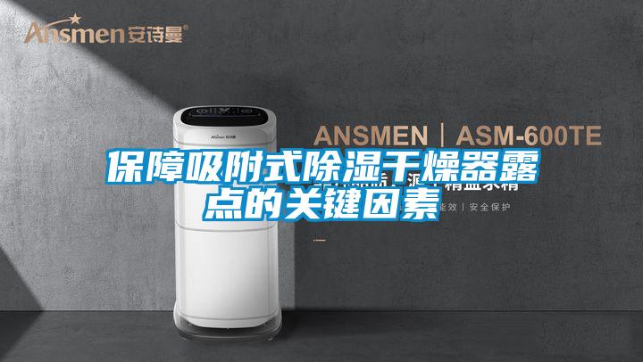 保障吸附式除濕干燥器露點(diǎn)的關(guān)鍵因素