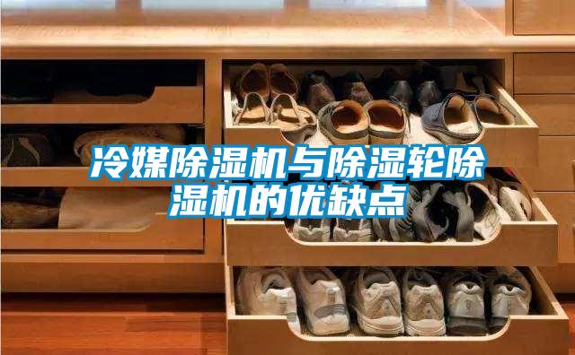 冷媒除濕機與除濕輪除濕機的優缺點