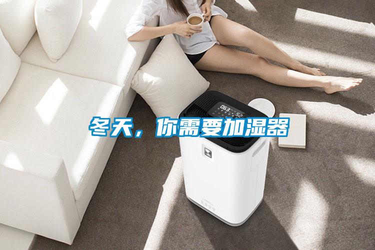 冬天，你需要加濕器