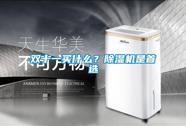 雙十一買什么？除濕機是首選