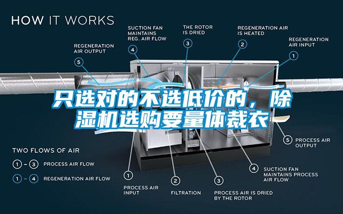 只選對的不選低價的，除濕機選購要量體裁衣