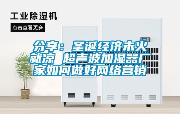 分享：圣誕經濟未火就涼 超聲波加濕器廠家如何做好網絡營銷