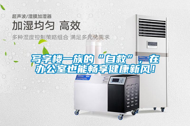 寫字樓一族的“自救”，在辦公室也能暢享健康新風！