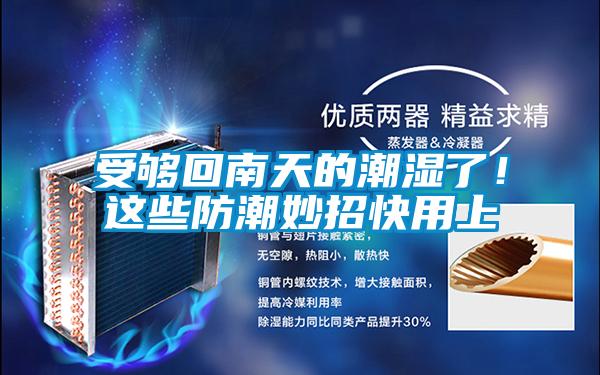受夠回南天的潮濕了！這些防潮妙招快用上