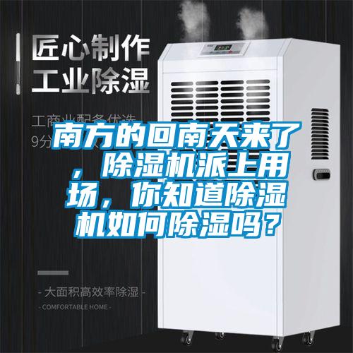 南方的回南天來了，除濕機派上用場，你知道除濕機如何除濕嗎？