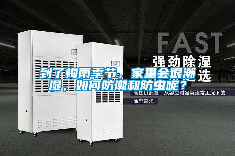 到了梅雨季節(jié)，家里會(huì)很潮濕，如何防潮和防蟲(chóng)呢？