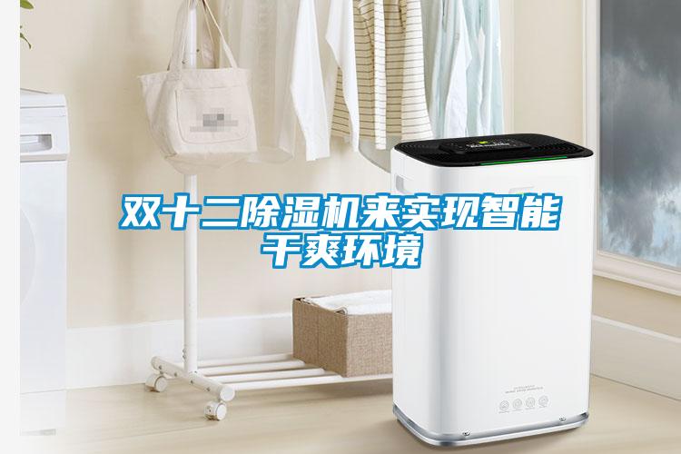 雙十二除濕機(jī)來實(shí)現(xiàn)智能干爽環(huán)境