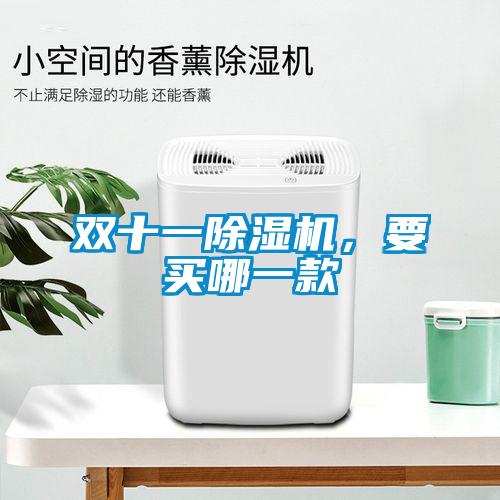 雙十一除濕機，要買哪一款