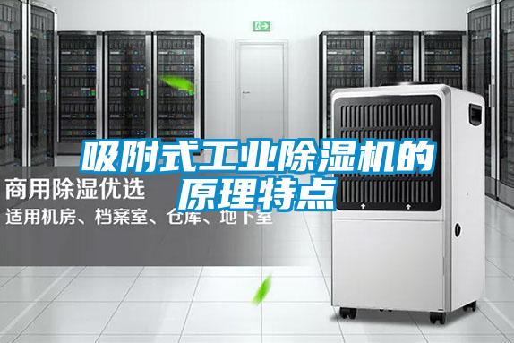吸附式工業(yè)除濕機(jī)的原理特點(diǎn)