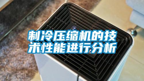 制冷壓縮機的技術性能進行分析